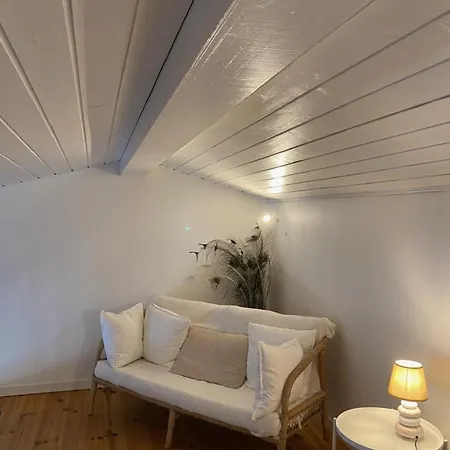 Apartament Canonissime Duplex -6 Pers Cap Ferret